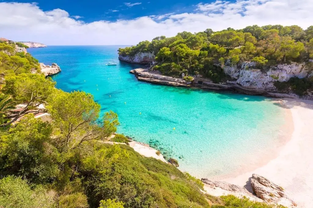 Can Somni - Appartement Boheme, Zen Et Chic Avec Piscine Cala Figuera  Cala Figuera (Mallorca)