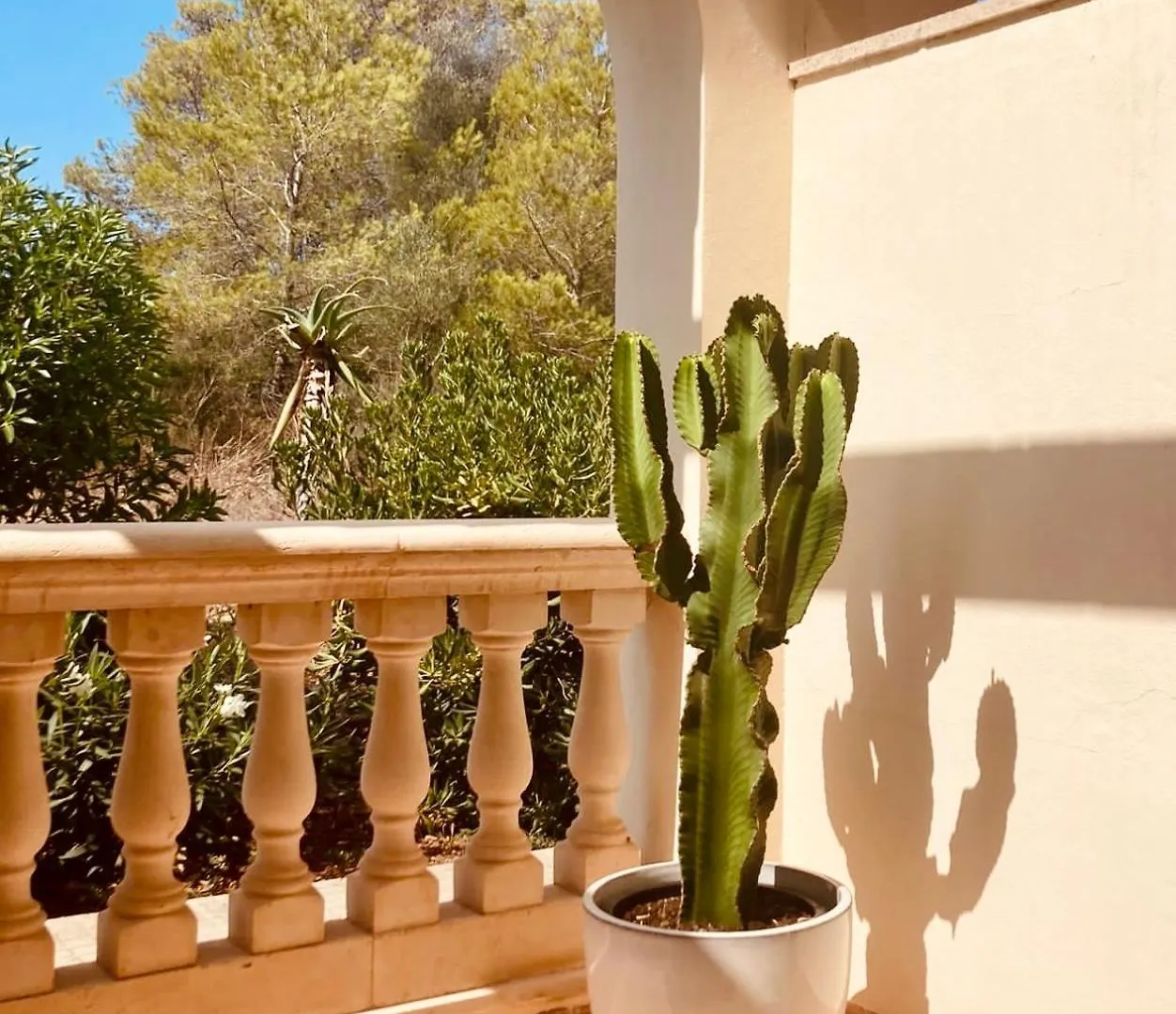 Can Somni - Appartement Boheme, Zen Et Chic Avec Piscine Cala Figuera  Cala Figuera (Mallorca)